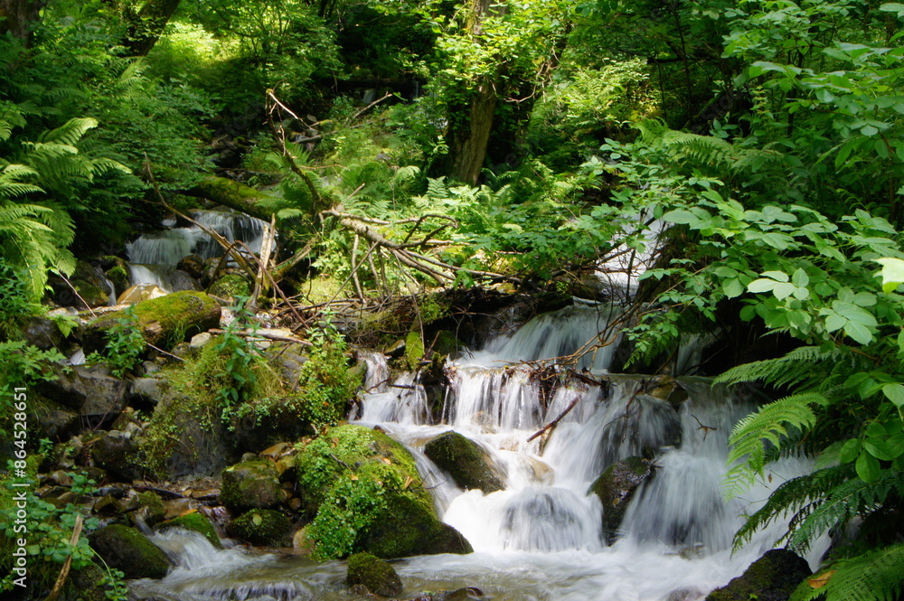 Waterfall in the mountain forest Waterfall in the mountain forest