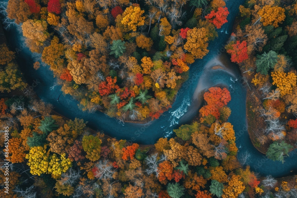 a river running through a forest next to a forest, bird's-eye view of a meandering river flowing through an autumn forest a river running through a forest next to a forest, bird's-eye view of a meandering river flowing through an autumn forest