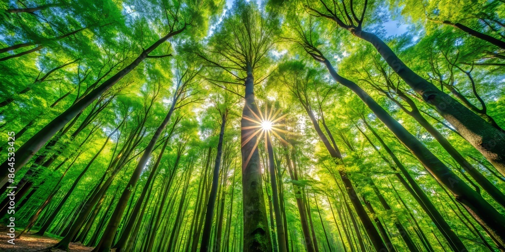 Vibrant green forest with tall trees stretching towards the sky, dappled sunlight filtering through leaves, serene and peaceful atmosphere, beautiful nature background scenery. Vibrant green forest with tall trees stretching towards the sky, dappled sunlight filtering through leaves, serene and peaceful atmosphere, beautiful nature background scenery.