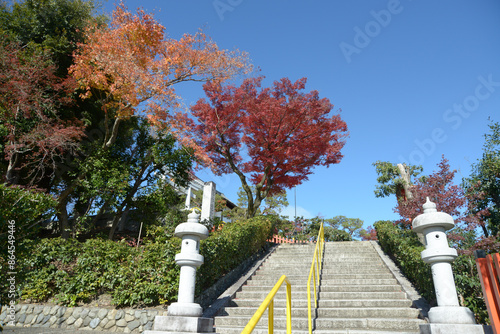 秋の建勲神社　参道の紅葉　京都市北区紫野 photo