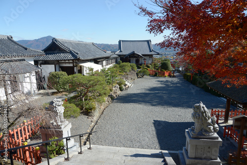 秋の建勲神社　境内　京都市北区紫野 photo