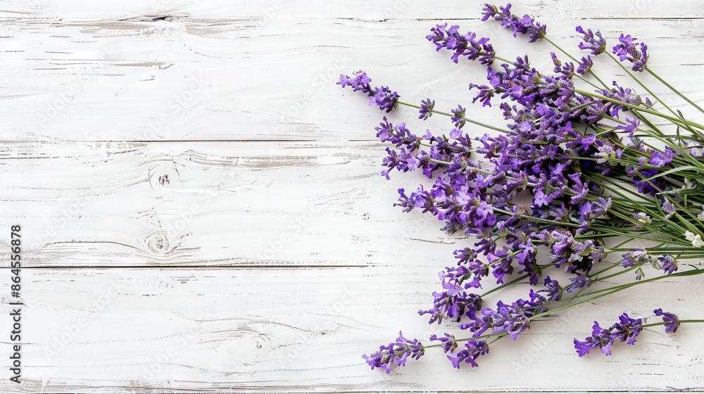 Obraz premium Fresh flowers of lavender bouquet top view on white wooden background