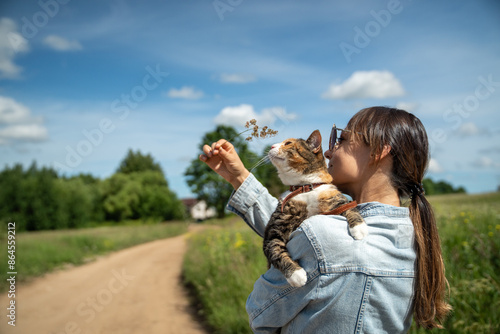 Quadro su tela Domestic cat wearing leash, walking outside for the first time, sits on loving woman owner shoulder, playful kitty interested in spikelet of grass and new smells