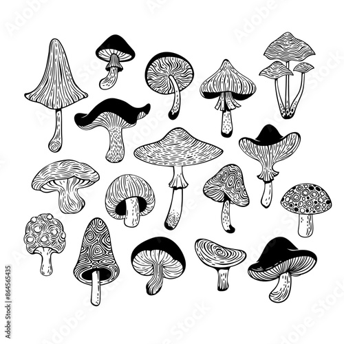 Set of drawn vector mushrooms, black silhouettes without background