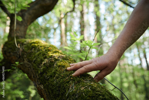 Принти на полотні Medium closeup of hand of unrecognizable man touching green moss growing on tree