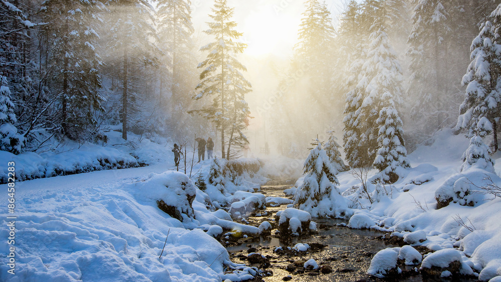 sunny day in a winter mountain forest