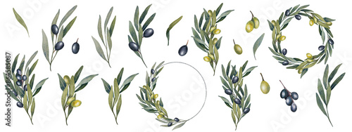 Watercolor olive tree leaves, branch, green and black olives fruit. Isolated elements, compositions, frames. Hand paint floral illustration for wedding stationary, greeting, wallpaper, print, fabric.
