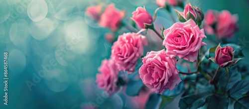 Wallpaper Mural Detailed view of a bunch of vibrant pink roses with a blurred background, ideal for a copy space image. Torontodigital.ca