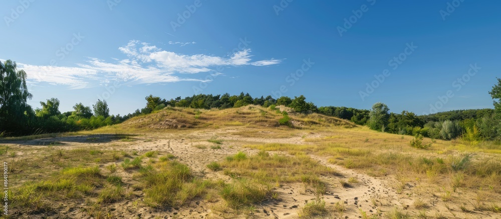 Scenic view with a sandy hilltop, trees in the background, and a blue sky, perfect for a copy space image. Scenic view with a sandy hilltop, trees in the background, and a blue sky, perfect for a copy space image.