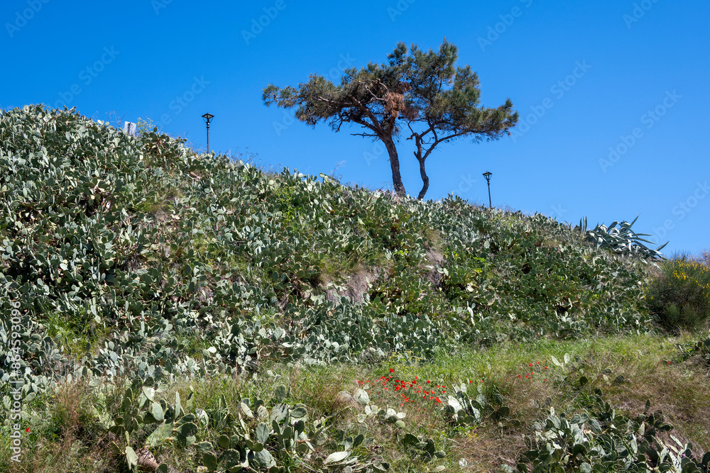 Historical town of Afytos, Kassandra, Chalkidiki, Greece