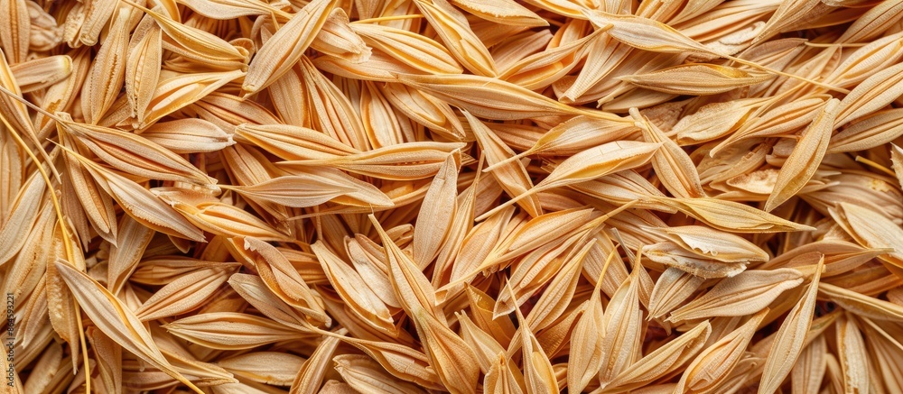 Top view of oat background providing copy space image. Top view of oat background providing copy space image.
