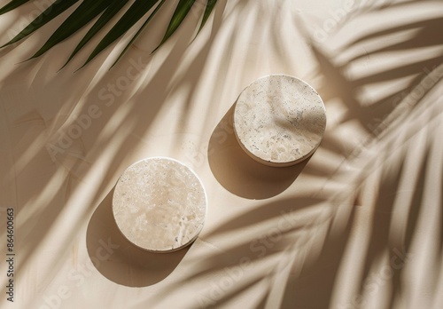 Two Round White Marble Coasters With Palm Leaf Shadows in Sunlight