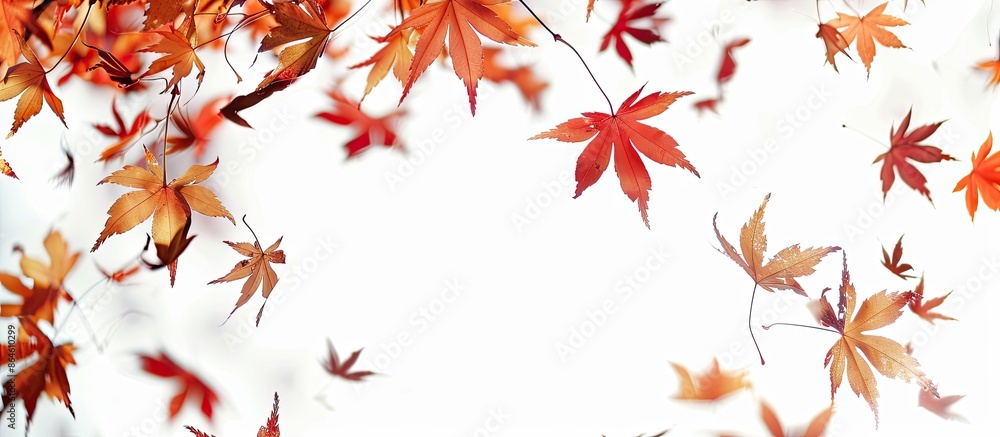 Autumn leaves on a white backdrop with a poetic aura in the air. Copy space image. Place for adding text and design Autumn leaves on a white backdrop with a poetic aura in the air. Copy space image. Place for adding text and design