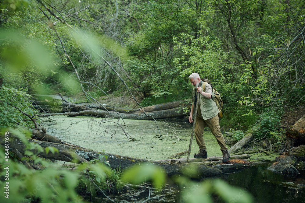 Wide shot of senior Caucasian male traveler hooding wooden stick crossing river in mountain forest, copy space Wide shot of senior Caucasian male traveler hooding wooden stick crossing river in mountain forest, copy space