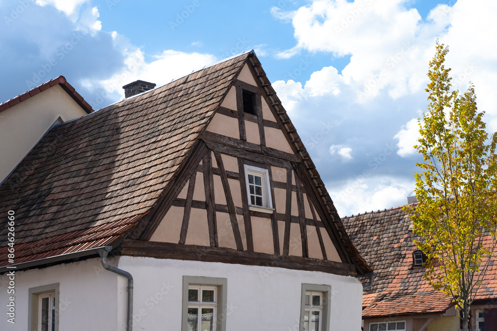 fragments old house, medieval building 13th century in European city, half-timbered style facades, wooden frames load-bearing structures, German heritage, history fragments old house, medieval building 13th century in European city, half-timbered style facades, wooden frames load-bearing structures, German heritage, history
