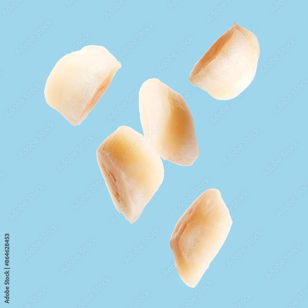 Many fresh scallops falling on light blue background Many fresh scallops falling on light blue background