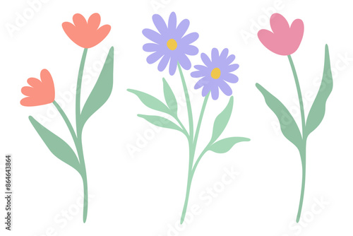 Flowers | Doodled Wildflower Bundle | Floral Drawings | Botanical Vector Illustrations