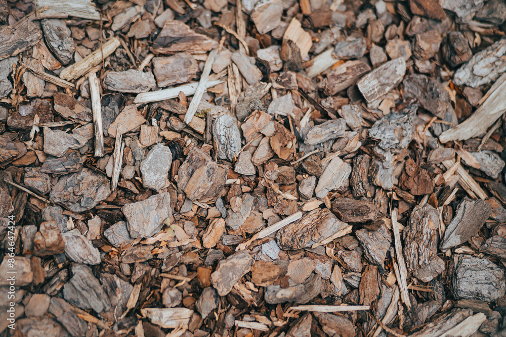 Mulch Texture Mulch Texture