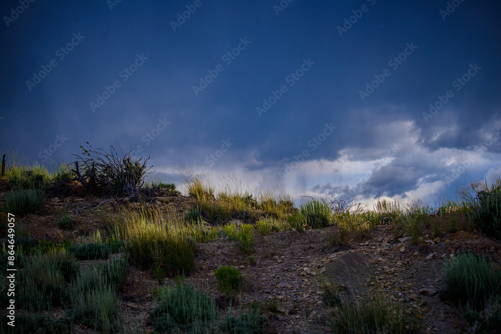 Obraz premium Soft Rain Lighting