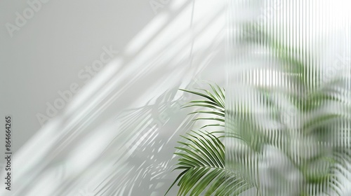 White Ribbed Background. Tropical plant background. Refreshing summer illustration. Blurred bokeh lights effect. Green palm with reeded glass.