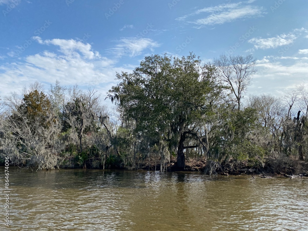 Photo of bayou, wetlands hardwood forest, swamp, and marsh habitats in Barataria Preserve within Jean Lafitte National Historical Park and Preserve, Jefferson Parish, Louisiana USA. Photo of bayou, wetlands hardwood forest, swamp, and marsh habitats in Barataria Preserve within Jean Lafitte National Historical Park and Preserve, Jefferson Parish, Louisiana USA.