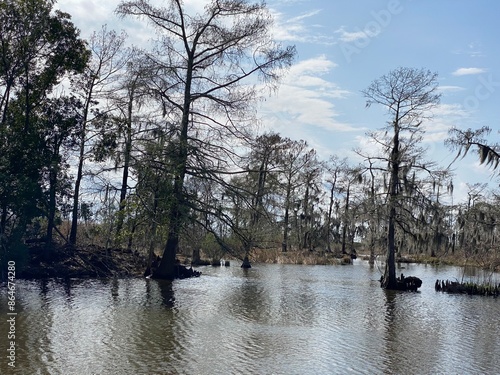 Valokuva Photo of bayou, wetlands hardwood forest, swamp, and marsh habitats in Barataria Preserve within Jean Lafitte National Historical Park and Preserve, Jefferson Parish, Louisiana USA