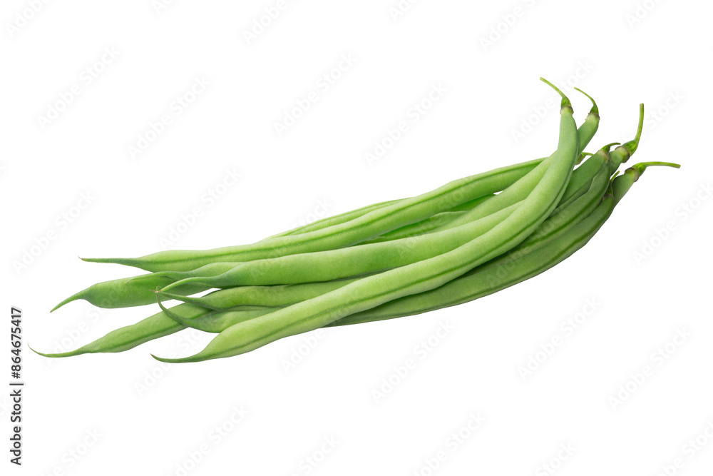 インゲン豆 インゲン豆