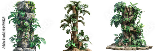 Jungle Tree Trunk with Climbing Monstera Set Isolated on Transparent or White Background, PNG photo