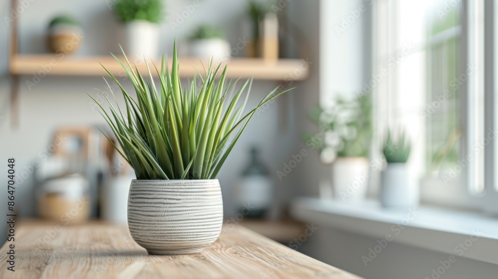 A stylish green plant in a ceramic pot placed on a wooden table, adding a touch of nature to a modern indoor space. A stylish green plant in a ceramic pot placed on a wooden table, adding a touch of nature to a modern indoor space.