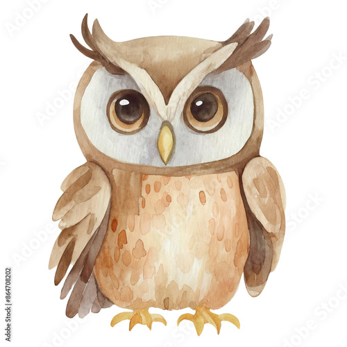 수채화느낌 동물곤충어류