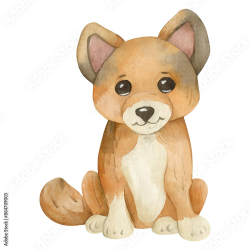 수채화 스타일 동물곤충어류