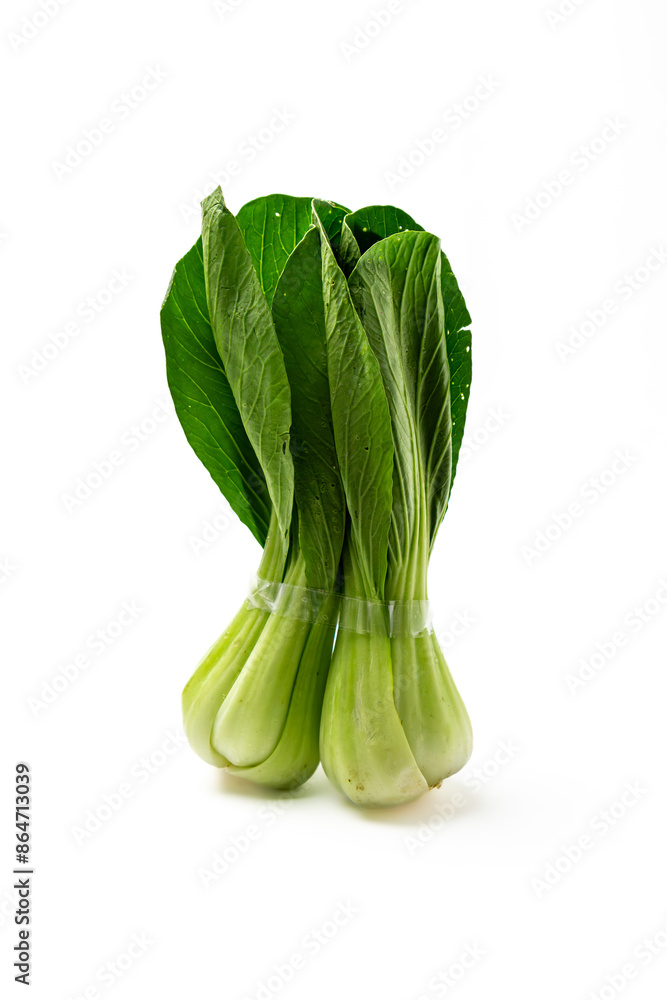 bok choy, also known as pak choi or Chinese cabbage. Isolated on white background bok choy, also known as pak choi or Chinese cabbage. Isolated on white background