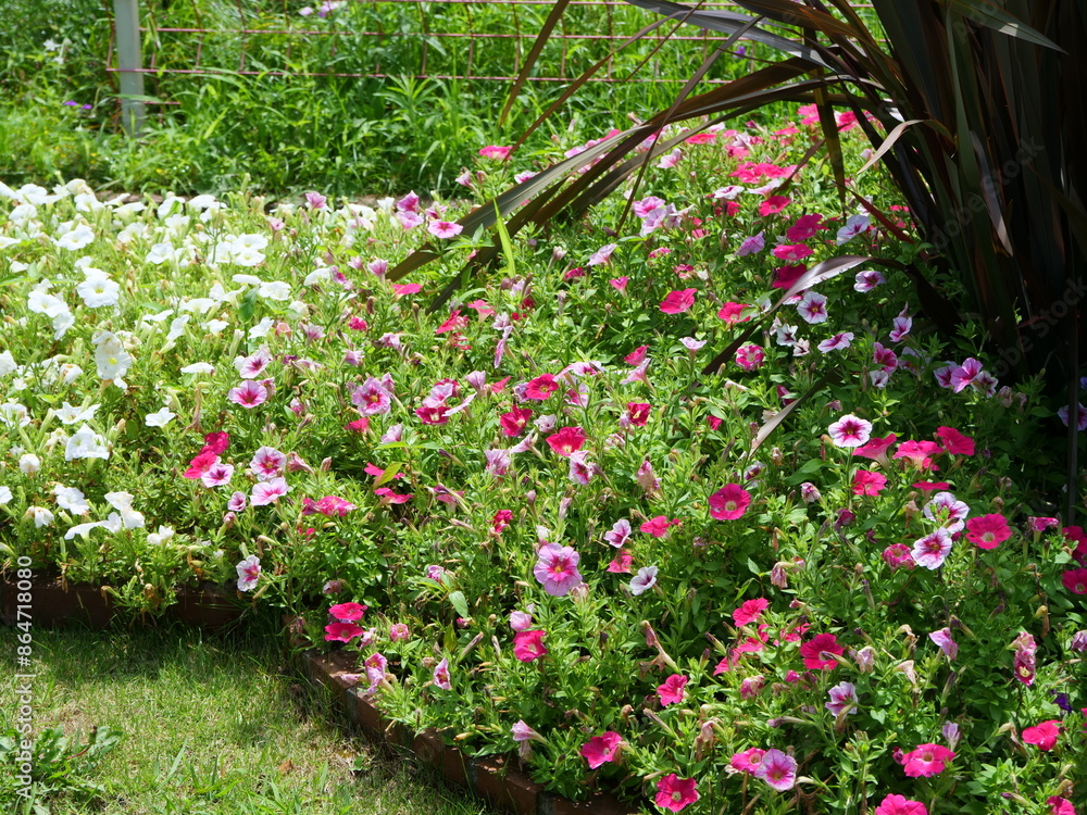 Obraz premium 日比谷公園の花壇を含む風景