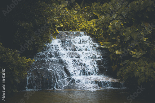 A Taste of Shenzhen - Fairylake Botanical Garden photo