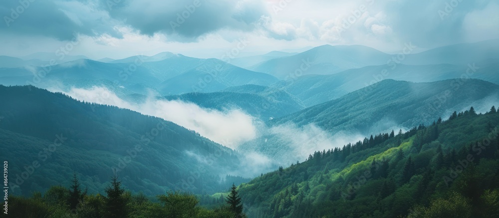 Misty Mountain Landscape