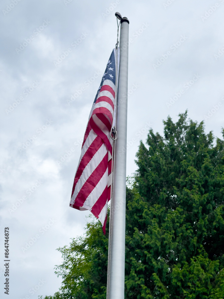 Fototapeta premium flags of the USA