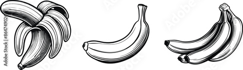 Set of banana, vector illustration.