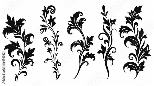 Acanthus vector black silhouette set, decorative ornamental elements for design projects photo