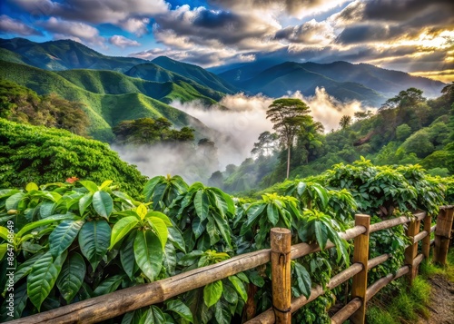Vibrant green coffee plants stretch towards the sky amidst rustic wooden fences and misty Andean mountains in Colombia's picturesque coffee region countryside. photo