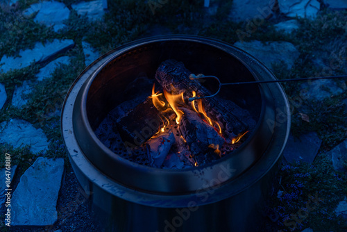 Melted Marshmallow on stick in fire pit at night 