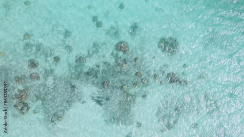 Bird's Eye Perspective on Coral Reefs in Los Roques photo