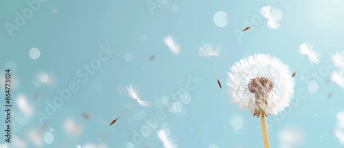 Tranquil dandelion seeds drifting with captivating bokeh effects, blue background, ample space for text, serene and calming