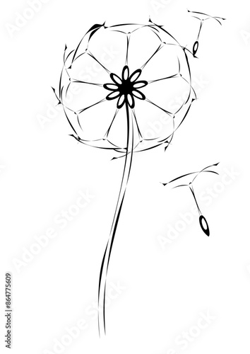 Pusteblume 