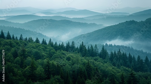 Mountains with Dense Forests