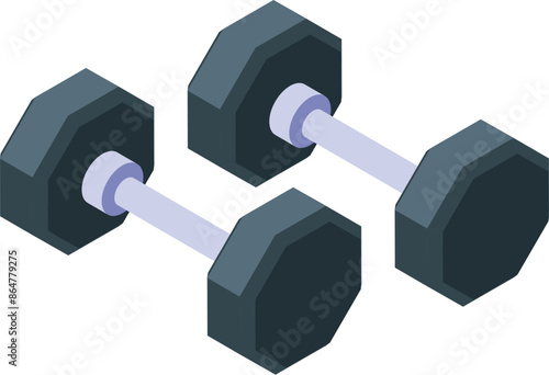 Pair of dumbbells is lying on the floor, showing their isometric projection