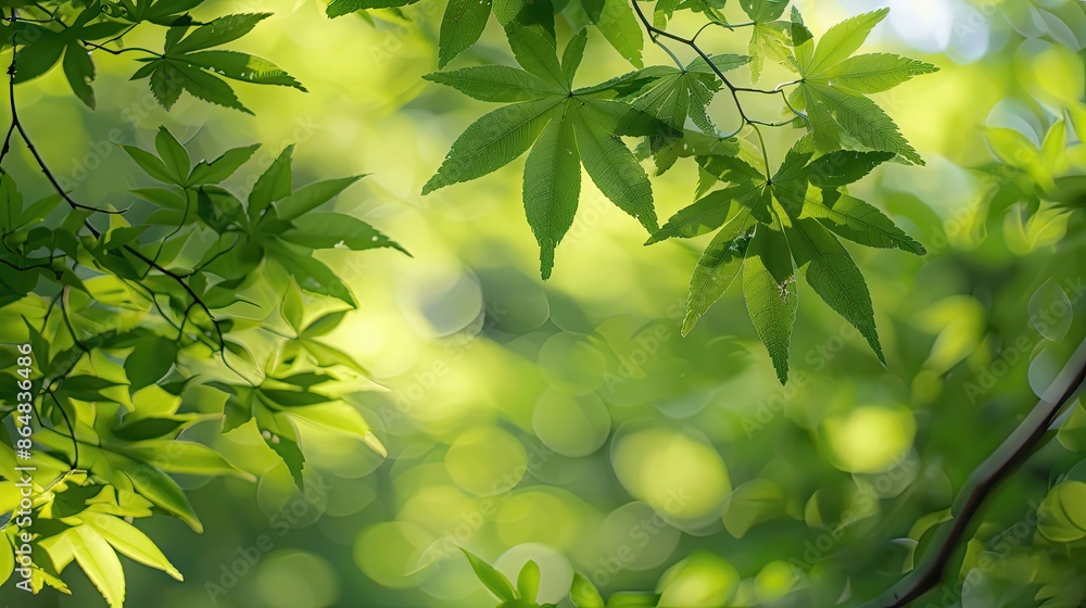 Obraz premium A leafy green tree with a leafy green leaf
