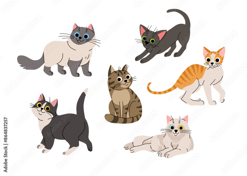 Obraz premium Cute cartoon cat set. Adorable domestic cats sitting, standing. Fluffy birman, black oriental, orange tabby cornish rex, black and white and grey. Lovely kitten flat vector collection.