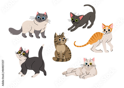 Cute cartoon cat set. Adorable domestic cats sitting, standing. Fluffy birman, black oriental, orange tabby cornish rex, black and white and grey. Lovely kitten flat vector collection.