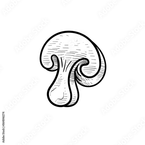 mushroom handdrawn illustration