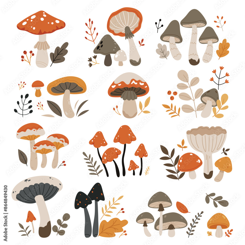 A set of autumn mushrooms.Forest wild mushrooms types.Poisonous and edible mushroom, chanterelle, cep, amanita and truffle isolated vector illustration set. A set of autumn mushrooms.Forest wild mushrooms types.Poisonous and edible mushroom, chanterelle, cep, amanita and truffle isolated vector illustration set.